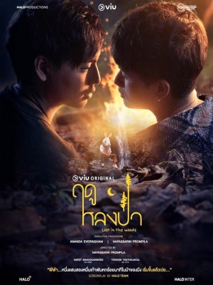 Xem phim Mùa Lạc Trong Rừng online