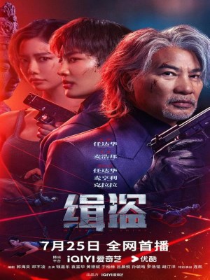 Truy Bắt Đạo Tặc