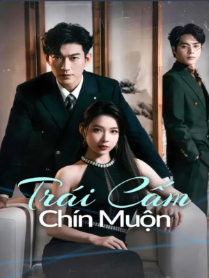 Trò Chơi Tình Ái Không Lối Thoát